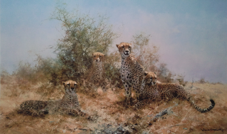 david shepherd  cheetah, silkscreen print