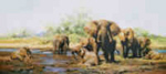 david shepherd prints