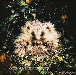 davidshepherd baby hedgehog