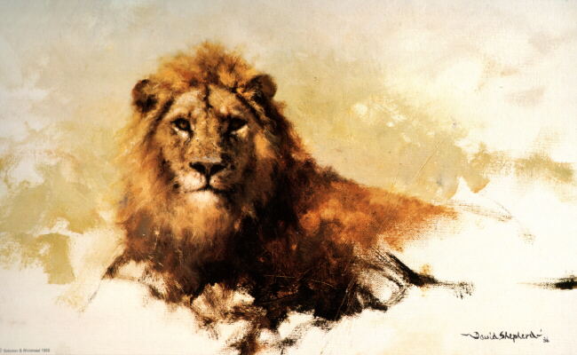 davidshepherd lion sketch 1986