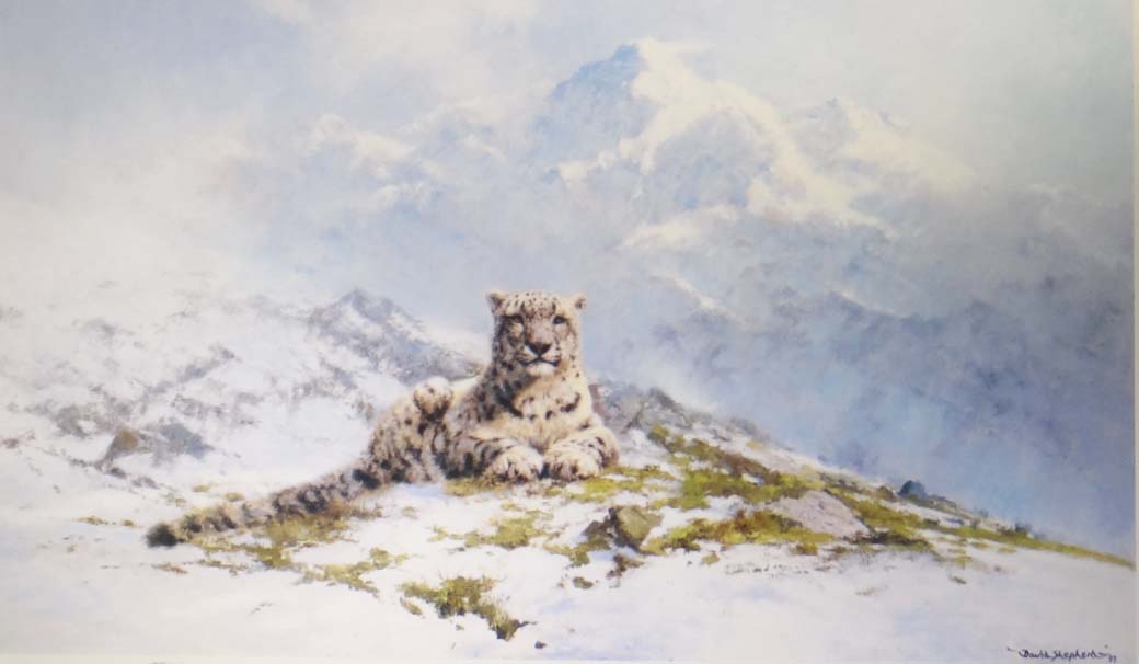 david shepherd snow leopard, print