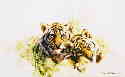 david shepherd tiger cubs print