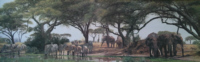 Simon Coombes limited edition prints