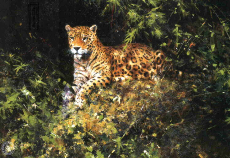 david shepherd  jaguar print