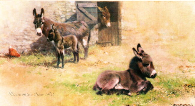 davidshepherd-donkeys
