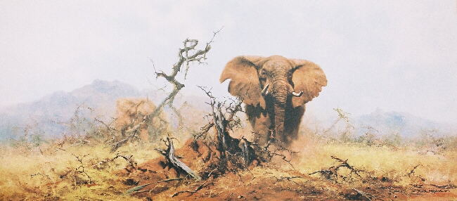 david shepherd elephant and the anthill