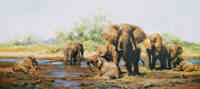 david shepherd elephant heaven