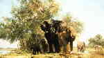 david shepherd elephants and egrets print