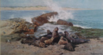 david shepherd elephant seals signed print