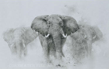 davidshepherd-elephantspencil