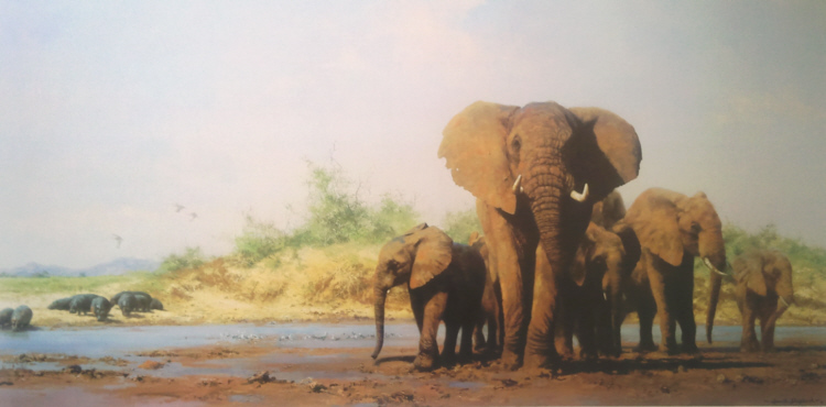 david shepherd evening in Africa print