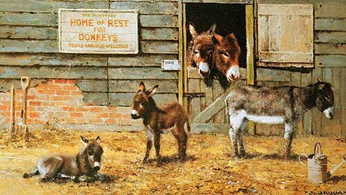 happyhomefordonkeys-davidshepherd