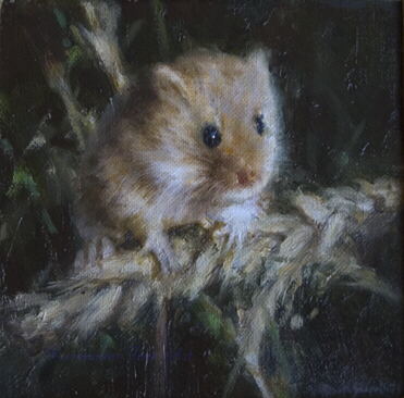 davidshepherd harvest mouse