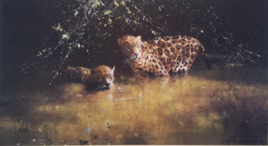 david shepherd  jaguars print