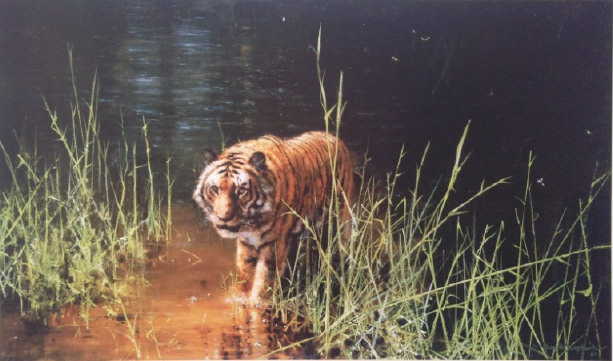 david shepherd  jungle gentleman print