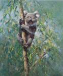 davidshepherd-koala