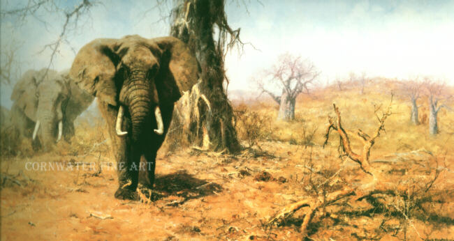 david shepherd land of the baobab trees print