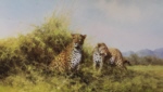 david shepherd Leopards