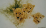 davidshepherd-lioncubs
