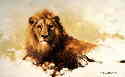 davidshepherd-lionsketch1986