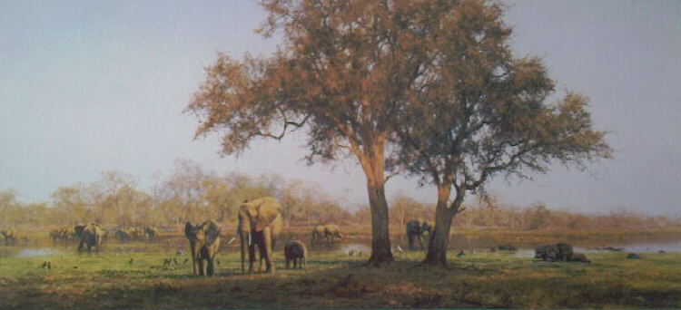 davidshepherd luangwa evening