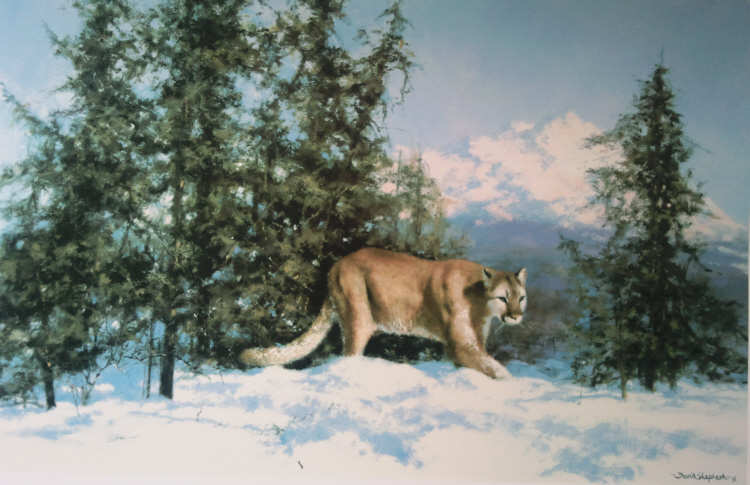 david shepherd mountain lion print