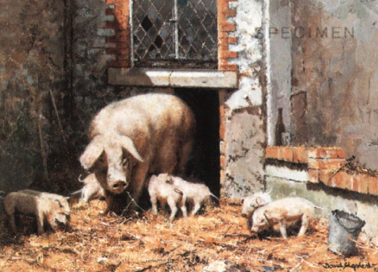 david shepherd mrs P and the kids, pigs signed print