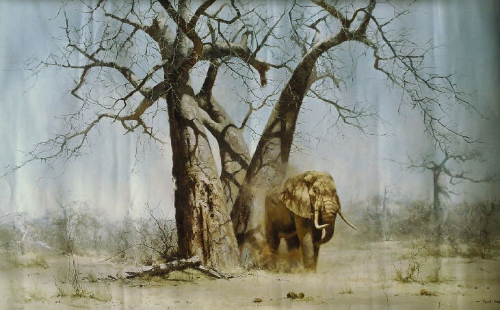 david shepherd old george under his favourite baobab tree