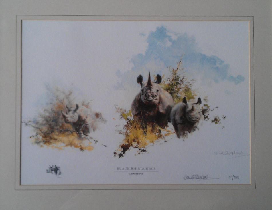 david shepherd black rhinoceros print