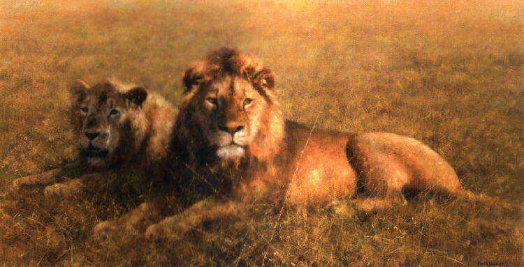 david shepherd Serengeti friends