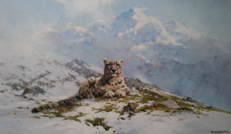 david shepherd snow leopard