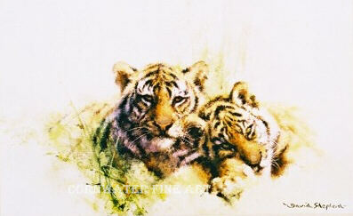 davidshepherd tiger cubs