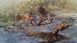 david shepherd signed limited edition print tigers of bandhavgarh