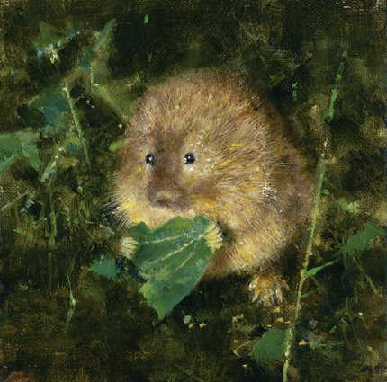 shepherd print water vole