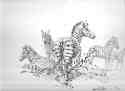 david shepherd-zebra sketch