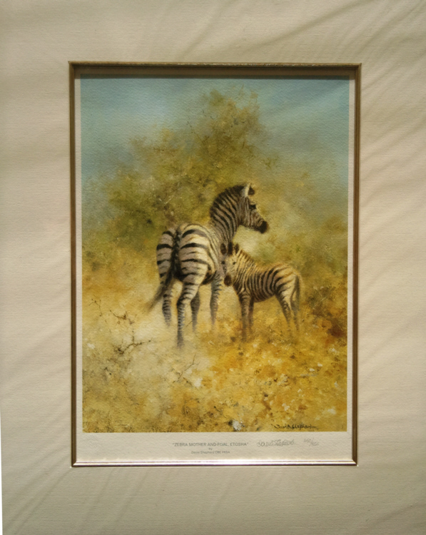 david shepherd zebra mother and foal print