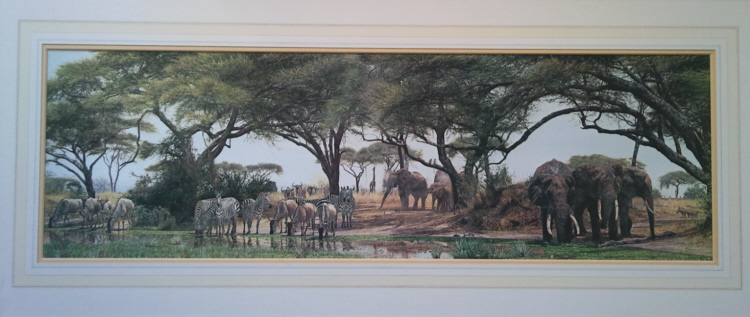 simon coombes african oasis signed print mounted