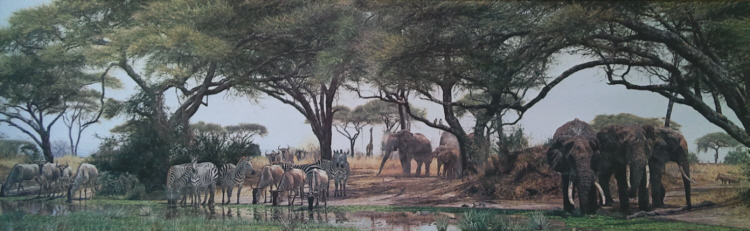simon coombes african oasis signed print